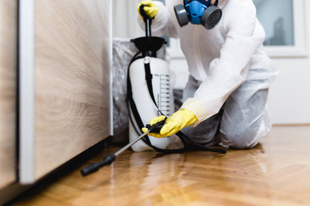 Best Local Pest Control Services  in Beacon, NY