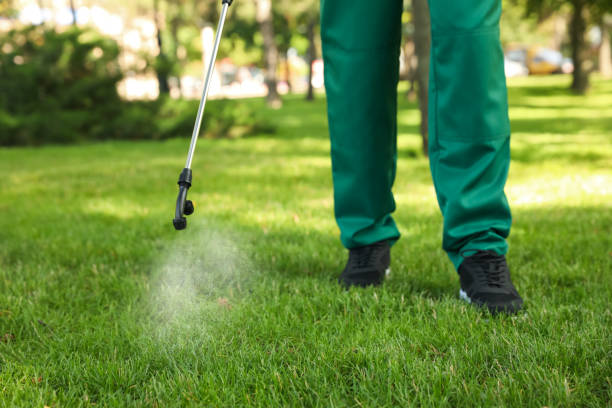 Professional Pest Control in Beacon, NY