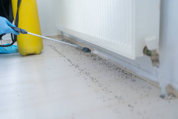 Best Commercial Pest Control Services  in Beacon, NY
