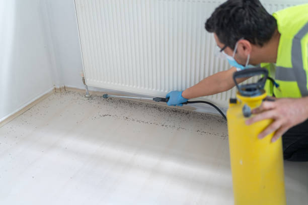 Best Bed Bug Extermination  in Beacon, NY